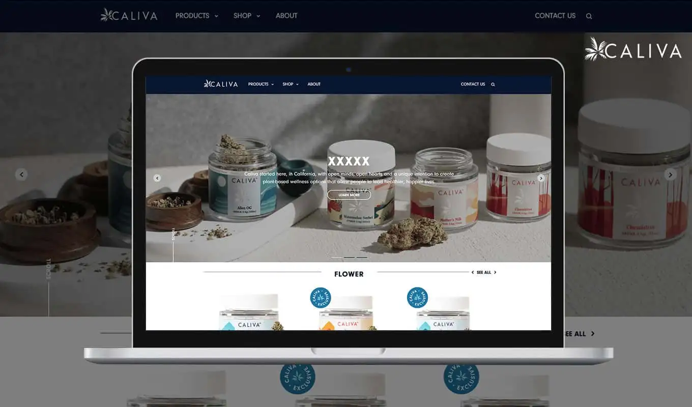 psd to bootstrap